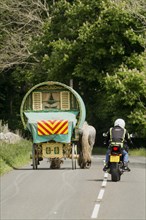 Motorcyclist overtakes horse-drawn touring caravan on country road
