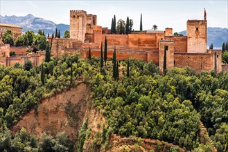 View of Alhambra with Alcazaba