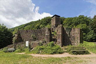 Hinterburg castle ruins