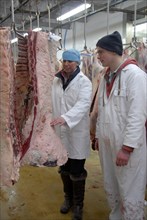 Workers sorting out lamb carcasses in small farm based abattoir