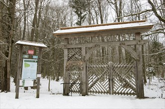 Gate leading to primeval forest habitat
