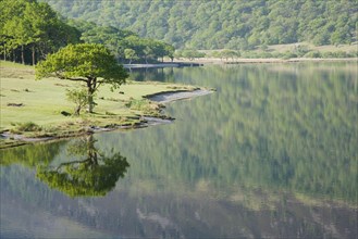 View of trees reflected in the lake