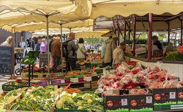 Market stalls and sales booths on the grounds of the asparagus farm in Klaistow