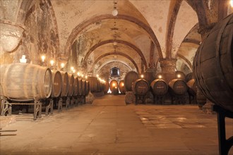 Wine cellar with wine barrels in the cabinet cellar of the UNESCO Eberbach Monastery in Eltville
