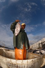 Tuna fisherman with catch