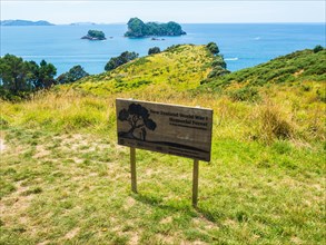 Reforestation sign at Cathedral Cove Walk