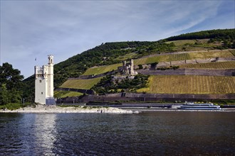 Bingen Maeuseturm and Ehrenfels Castle