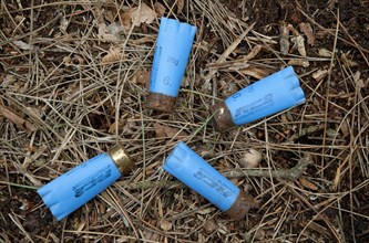 Spent shotgun cartridges in woodland