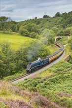 'Sir Nigel Gresley' steam train and carriages