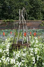 'Wigwam' style plant support