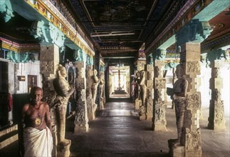 Sculptured pillars in the Ilayathangudi Temple
