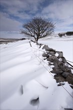 View of snow drifts behind a dry stone wall