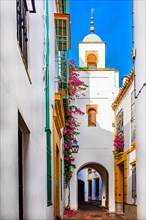 Old town streets of Cordoba with mosque