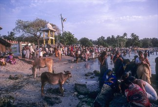 Agnitheertham bathing ghat at rameshwaram