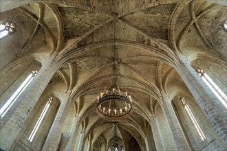 Vaults and columns . Â Saint Robert abbaye of la Chaise Dieu. Haute Loire department. Auvergne Rhone Alpes. France