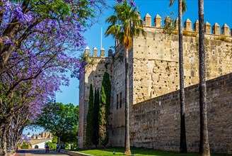 Fortress towers of the Alcazar with Jacaranda trees
