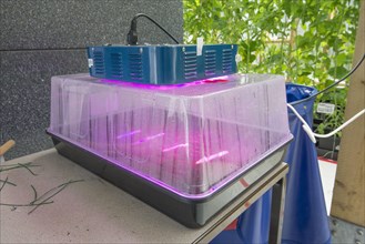 Plastic propagator with LED lights