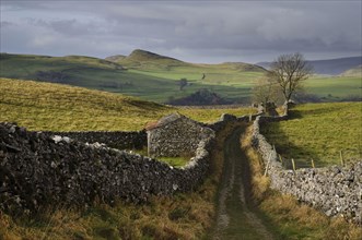 Bridleway meanders between dry stone walls in upland farmland