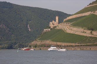 Ehrenfels Castle Ruin in Ruedesheim