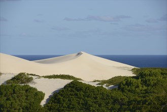 View of white sand dunes and coastal fynbos habitat