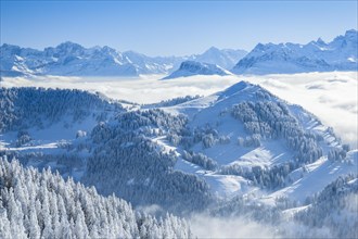 Aussicht von der Rigi mit Nebelmeer sowie frisch verschneiten Fichten und den Unrer Alpen