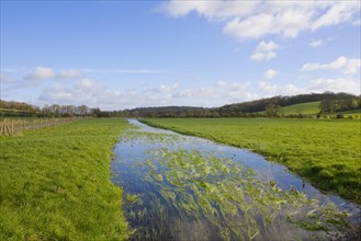 'Winterborne' seasonal stream flowing through pasture