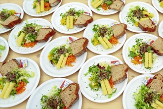 Mixed salad with sliced cheese and sprouts