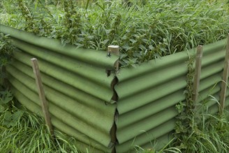Green corrugated iron