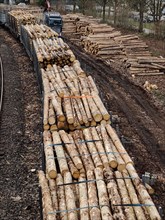 Holztransport auf der Schiene