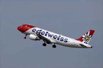 Flugzeug Edelweiss Air