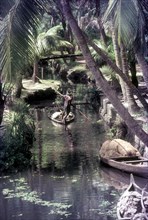 Backwaters of Kumarakom in Kerala