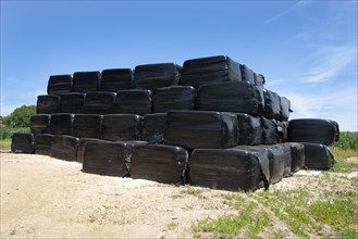 Stack of black plastic wrapped silage bales