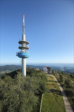 Transmission mast at Hochblauen in Blauen