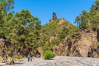Hikers in front of the landmark rock needle Roque Idafe