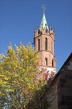 Gothic St. Gallus Church in Ladenburg