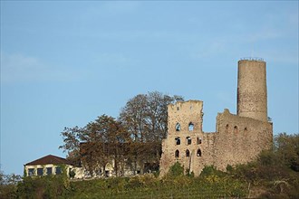 Windeck Castle near Weinheim