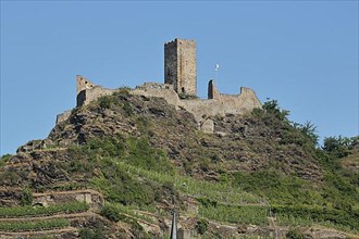 Medieval lower castle in Kobern