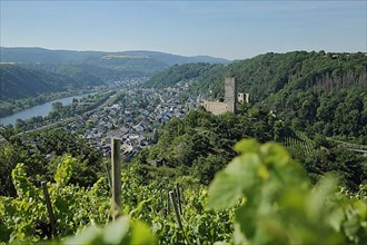 View of Niederburg Castle and landscape in the wine-growing area in Kobern