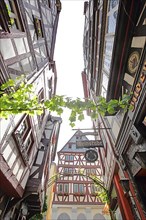 Half-timbered houses with nose sign of wine tavern and vines in the wine region Bernkastel