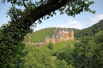 Eltz Castle built 12th century with tree root in Wierschem