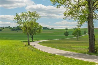 Country road near Rotenbach wiesen nature reserve. Friedenweiler