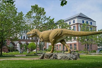 Tyrannosaurus Rex in front of the Senckenberg Museum
