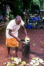 Tender coconut seller in Madhur near Kasaragod