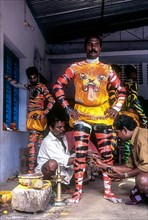 Painted human bodies for Pulikali Tiger Dance