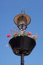 Flowerpot on a streetlamp