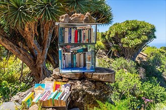 Sale of used books at the hiking trail near Las Tricias