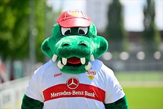 Mascot Fritzle VfB Stuttgart Portrait appointment VfB Stuttgart 2022 2023 Licensed player Football 1st Bundesliga Men GER Stuttgart 05. 07. 2022