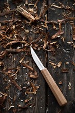 Carving knife and wood chips