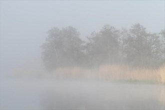 Morning mist over the river Peene
