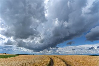 Rain clouds